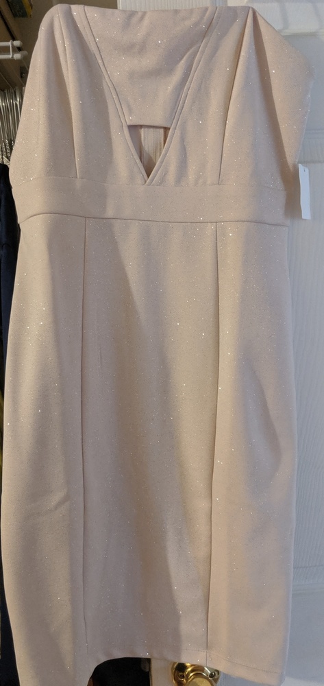 Charlotte Russe Dress